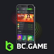 Understanding BC Fun Legal Your Guide to Safe Gaming