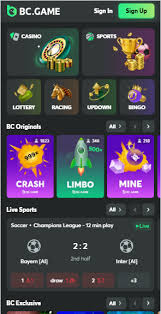 Understanding BC Fun Legal Your Guide to Safe Gaming